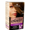 Schwarzkopf color expert barva na vlasy Dark blonde 7-0